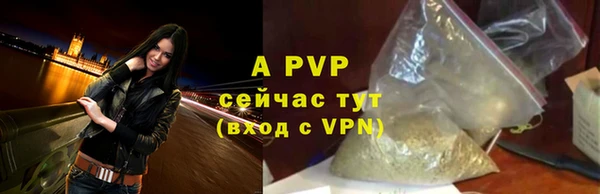 твердый Магадан