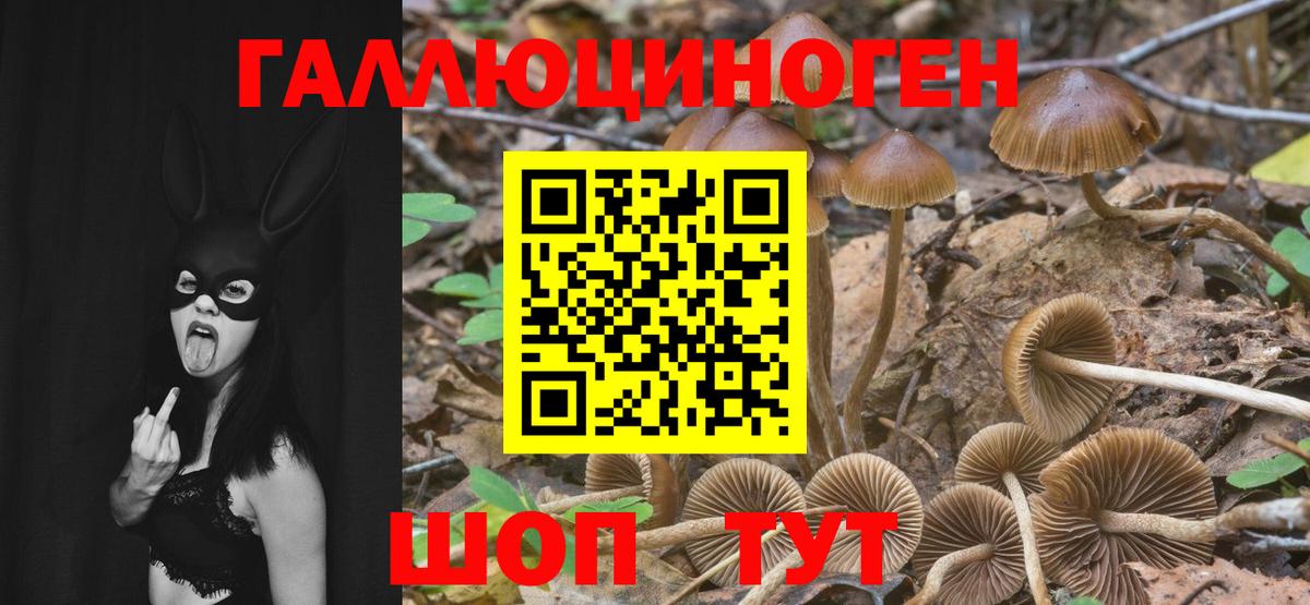 Псилоцибиновые грибы ЛСД  Учалы 